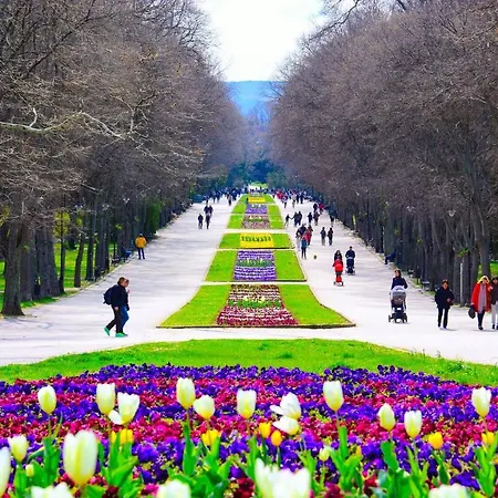 далия - Dalia Apartment Varna