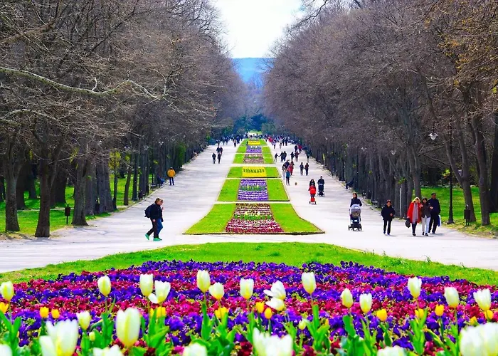 далия - Dalia Apartmán Varna